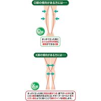 セルヴァン 接骨院の先生のテーピングひざサポーター　045632002　ベージュ　M-L 4985697251033 1枚（直送品）