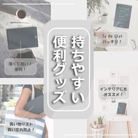 アイ・エス カラー文字 何度でも書き消しできる 電子パッド 8.5インチ ブルー(青) IDM02-8C-BL 1個（直送品）