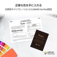 <ProArtシリーズ>PA148CTV(14型 sRGB100%、10点タッチ対応モバイルモニター) PA148CTV（直送品）