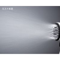 SANEI ミストストップシャワーヘッド(SENGAN) PS3062-80XAA-D 1個