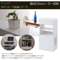 ナサ流通企画 ルーター収納キャビネット 幅455×奥行300×高さ875mm ホワイト/ホワイト fy-0086 1台（直送品）