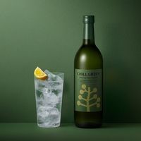 チルグリーン スパイシー＆シトラス 25度 720ml 瓶 1セット（4本） ボタニカル系麦焼酎 濱田酒造 CHILL GREEN