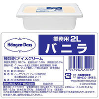 ハーゲンダッツ ジャパン [アイス] ハーゲンダッツ業務用 各2L 【ストロベリー・バニラ】 1セット(2種計2個)（直送品）