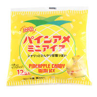 アイガー [アイス] パインアメミニアイス 120ml×12個 4934397309193 1セット(10ml×12個)（直送品）