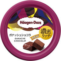 ハーゲンダッツ ジャパン [アイス] ミニカップ ガナッシュショコラ 110ml×12個 4976994207175 1セット(12個)（直送品）