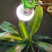 富士倉 植物育成ランプ KY-08W-SC 039992 1個