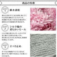 イケヒコ 吸水速乾ミスト バスマット2P 約350×500mm グリーン 3476150 1セット（2枚入）（直送品）