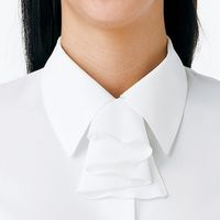 チクマ ブラウス リボン付き（長袖） AR1447-1-5（直送品）