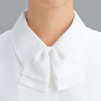 チクマ ブラウス リボン付き（長袖） AR1462-1-5（直送品）