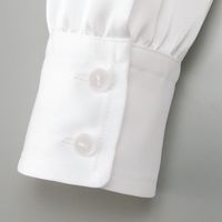 チクマ ブラウス（長袖） YT1588-1-13（直送品）