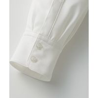 チクマ ブラウス（長袖） YT1910-1-9（直送品）