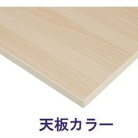 藤沢工業 TOKIO RMシリーズ ミーティングテーブル 幅1000×奥行1000×高さ720mm RM-1000 ナチュラル 1台（取寄品）