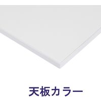 藤沢工業 TOKIO RMシリーズ ミーティングテーブル 幅900×奥行900×高さ720mm RM-990 ホワイト 1台（取寄品）