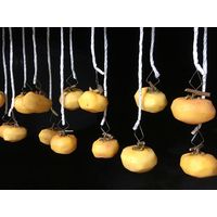 ミネ 柿クリップ MA型50入り 4524325000331 1個