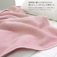 丸中 日本製 ホテルスタイルタオル 大判バスタオル ティグリーン LHSlt999005 1セット(5枚)