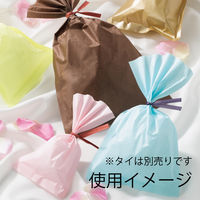 石崎商事 PBL-A05 パレットバッグ サンド  008705817 1セット(50枚入×50パック 合計 2500枚)（直送品）