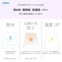 アスカ ラミネーター専用フィルム A4 UV 100ミクロン 20枚入り F4001 1袋