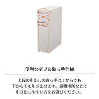 天馬 フィッツワーク 防災用品も入るデスク下引出ケース SL2段 1個