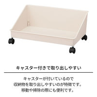 天馬 フィッツワーク リュックが置けるカート 1個