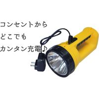渋谷 3W充電式ハンディライト sk-101 1個
