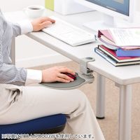 サンワダイレクト マウステーブル（360度回転・クランプ式・ポリエチレン布マウスパッド・ブラック・エルゴノミクス） 200-MPD003 1個（直送品）