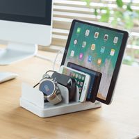 サンワダイレクト 充電器ステーション（USB充電器・スマホ・タブレット対応・最大9.6A/60W・6ポート搭載） 700-AC020W 1個（直送品）