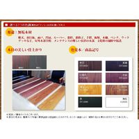 ビアンコジャパン 浸透性着色ガラス塗料 ビアンコートW 黒鳶 15L缶 BC-101W_BR3440（直送品）