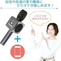 Harmony Partners カラオケマイク 電波法認可品 Bluetooth ワイヤレス ブラック IW-009（直送品）