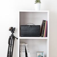 サンワダイレクト カメラインナーバッグ（バッグインバッグ・Lサイズ） 200-DGBG011 1個（直送品）