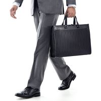 サンワダイレクト ストライプビジネスバッグ（2WAY仕様・手提げ・ショルダー・通勤対応） 200-BAG067 1個（直送品）