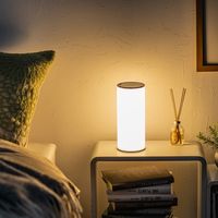 サンワダイレクト LEDライト(ランタン・6段階調整・充電式・タッチパネル・昼白色・電球色・リバーシブル) 800-LED025 1本（直送品）