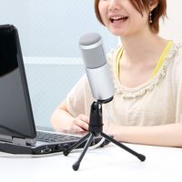 サンワダイレクト スタンドマイク（USB・単一指向性・コンデンサータイプ・高音質） 400-MC002 1個（直送品）