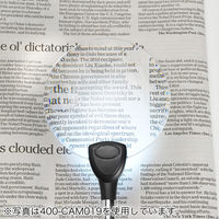 サンワダイレクト スタンドルーペ(拡大鏡・LEDライト付・クリップ対応・レンズ径11cm) 400-LPE014 1個（直送品）