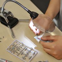 サンワダイレクト LEDライト付き拡大鏡(クリップ対応) 400-CAM019 1個（直送品）