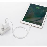 サンワダイレクト ライトニングUSBケーブル（Apple MFi認証品・充電・同期・1m・ホワイト） 500-IPLM011WK 1本（直送品）