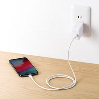 サンワダイレクト USB Type-C ライトニングケーブル 500-IPLM024W 1本（直送品）