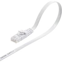 サンワダイレクト Cat6 フラットLANケーブル 10m （カテゴリー6・より線・ストレート・ホワイト） 500-LAN6FL10W 1本（直送品）