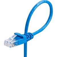 サンワダイレクト Cat6 スリムLANケーブル 10m (カテゴリー6・より線・ストレート・ブルー) 500-LAN6SL10BL 1本（直送品）