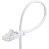 サンワダイレクト Cat6 スリムLANケーブル 3m （カテゴリー6・より線・ストレート・ホワイト） 500-LAN6SL03W 1本（直送品）