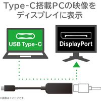映像変換アダプタ USB Type-C[オス] - DisplayPort[メス] 4K/60Hz AD-CDPBK2 エレコム 1個