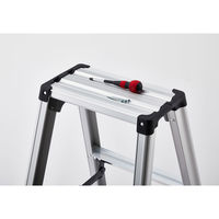 【専用脚立】 長谷川工業 軽量専用脚立 脚軽130 5段 RZ-15c 1台