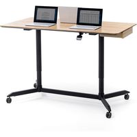 サンワサプライ ガス昇降ミーティングデスク 幅1500×奥行800×高さ765～1165mm ブラック ERD-MTGA15080LM 1台（直送品）