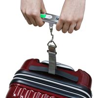 【デジタルはかり】 角利産業 SUNDRY（サンドリー） SUNDRY 吊り下げデジタルはかり 86197 1個