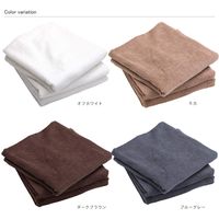 ヒオリエ 日本製 バスタオル 業務用 オフホワイト 白 約60×120cm 800匁 泉州タオル 無地 吸水 セット 速乾 中厚 1セット(3枚)