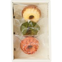 【ギフト・手土産10箱セット】ホシフルーツ 果実のミニョン・ド・クグロフ HFMK-3-10 1セット（3個入×10箱）（直送品）