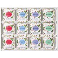 【ギフト・手土産3箱セット】ウェッジウッド ワイルドストロベリーティーバッグセット WEWT-24-3 1セット（24袋入×3箱）（直送品）