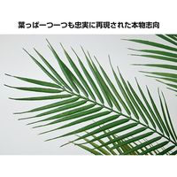キシマ フェイクグリーン パームツリー BK-7041（直送品）