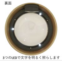 エバートラスト ライト付デスクドームルーペ DE408 1セット（2個）（直送品）