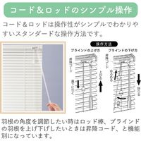 【規格品】アルミブラインド 幅180×高108cm（遮熱ホワイト） 4975559770147 1セット トーソー（直送品）