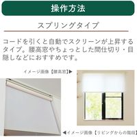 【規格品】遮光ロールスクリーン 幅60×高180cm（ベージュ） 4975559789842 1セット トーソー（直送品）